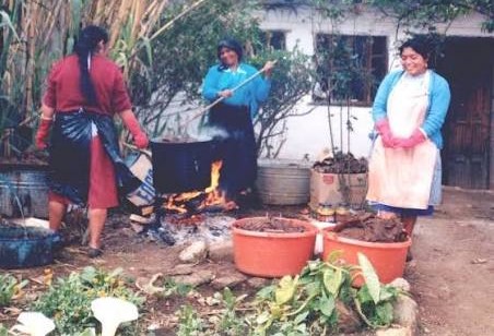 TOUR EXPERIENCIA PUEBLO MAGICO SAN CRISTOBAL Y TALLER DE PAPEL RECICLADO